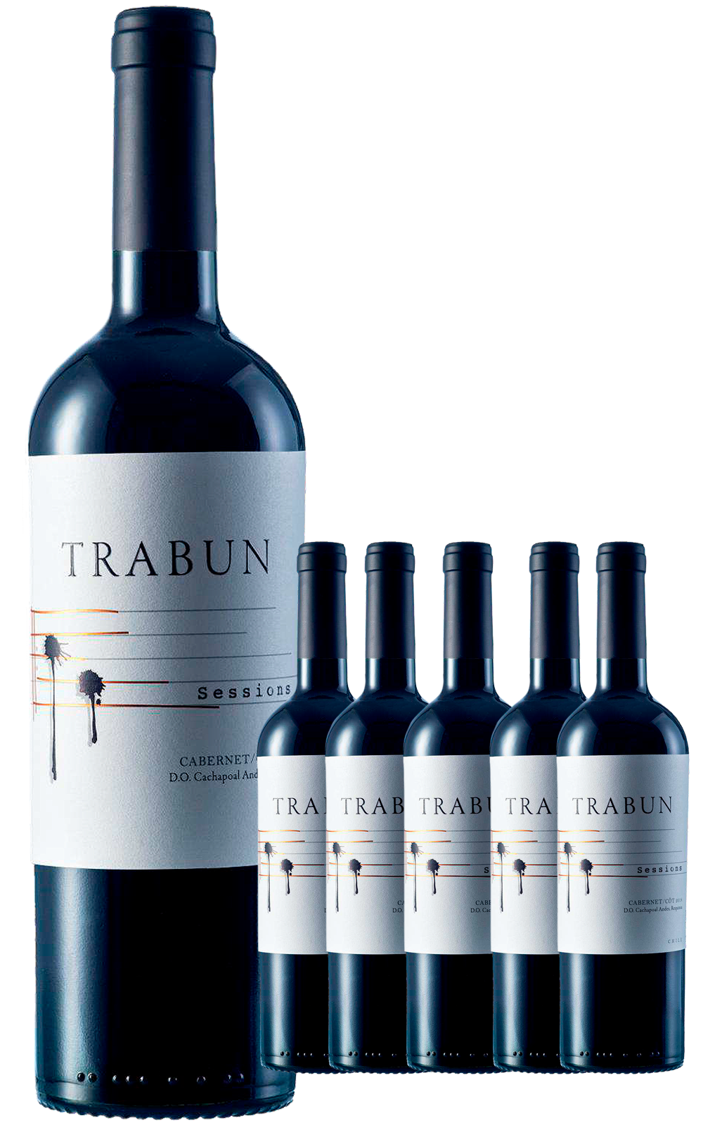 Soloist côt (Malbec) caja x 6