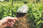 FUY, reserva carmenère 2022