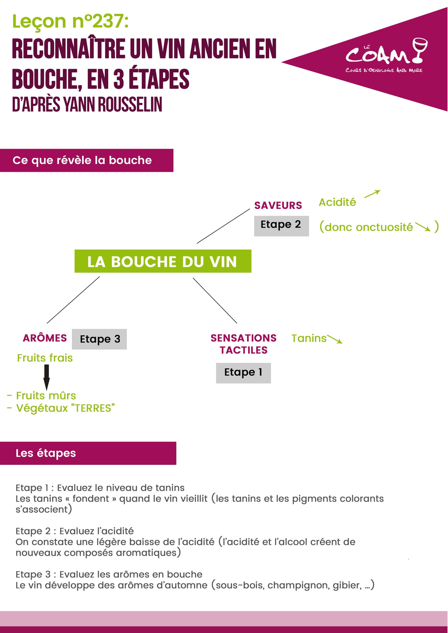 FUY cinsault, gran reserva 2021