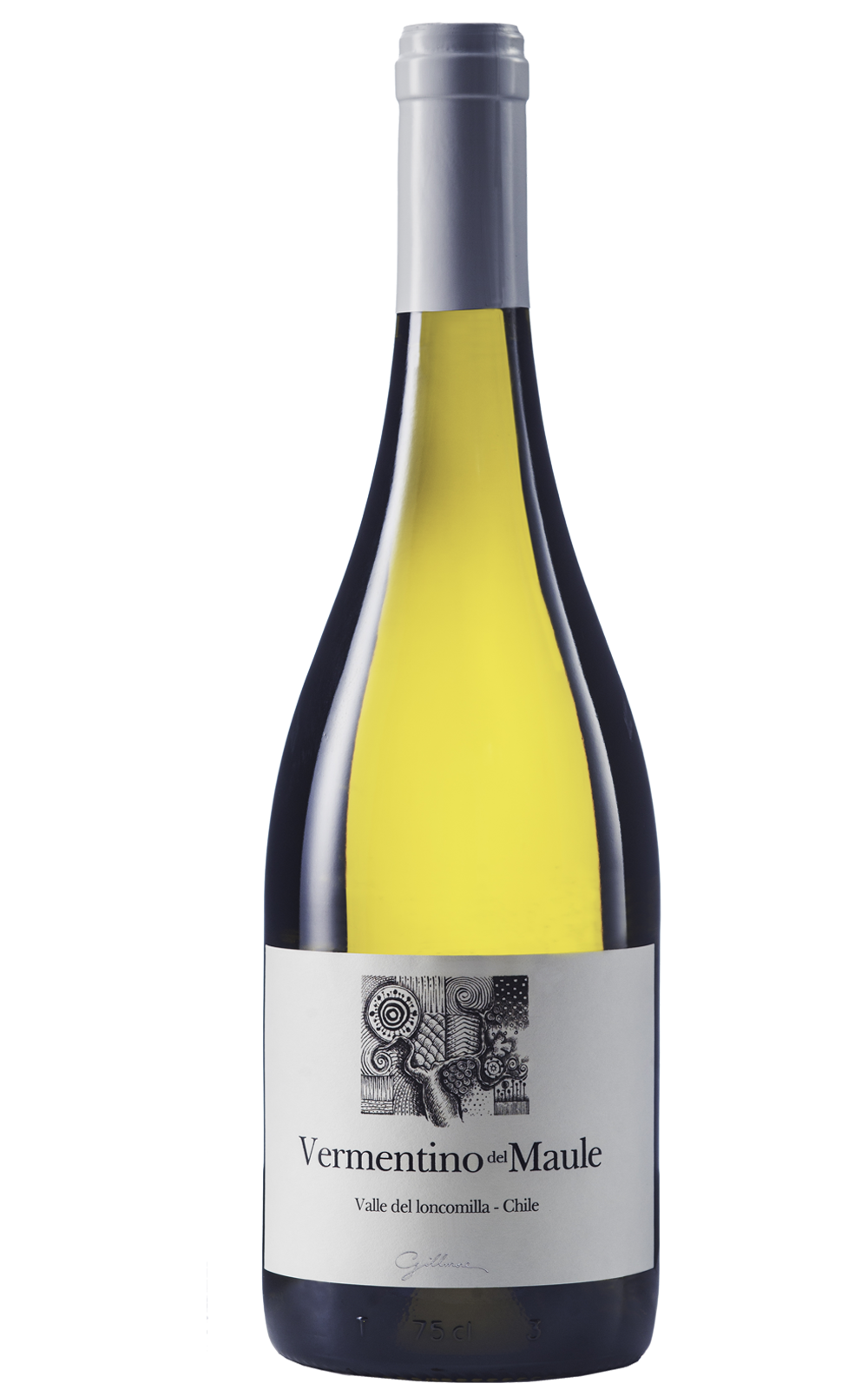 Vermentino del Maule Gillmore