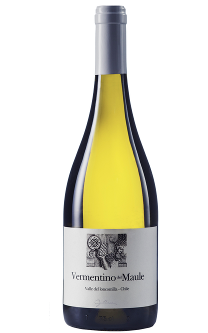 Vermentino del Maule Gillmore